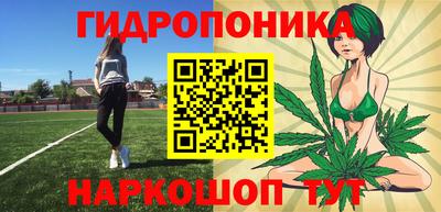прущие крисы Краснознаменск